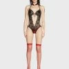 X_RenÃ© RofÃ©Â  Delicate Darling Lace Teddy -Velvet Muse Store A1QWr7Wb2NF5Cwdu7Ncz437lGsn7BH7E 24